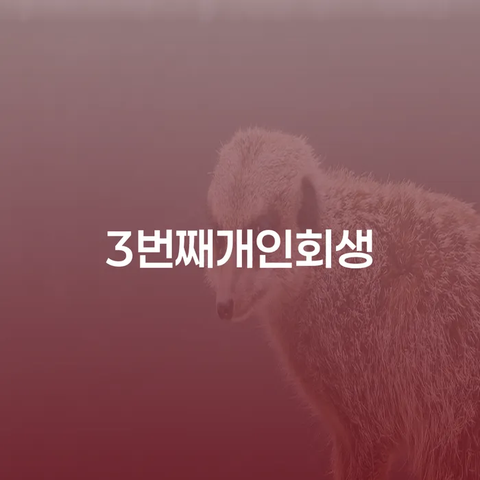 별제권 개인회생,개인파산으로 알아야 하는 꿀팁