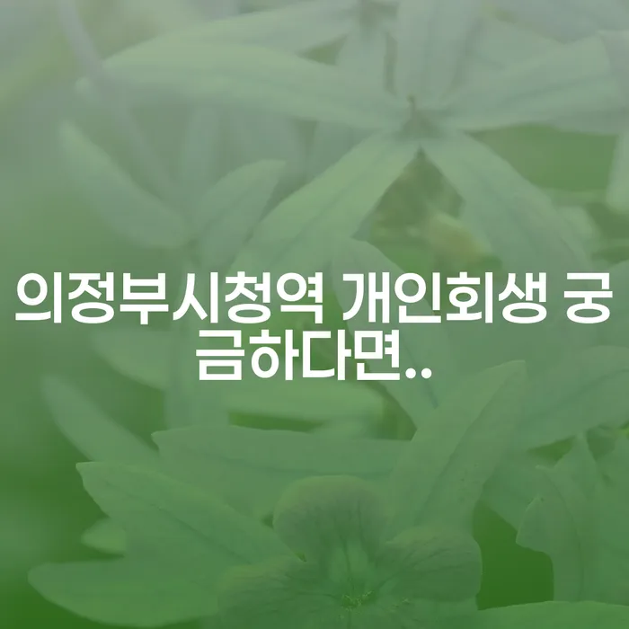 의정부시청역 개인회생 궁금하다면..