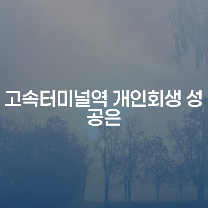 고속터미널역 개인회생 성공은